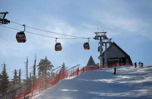 Miodowy Zakątek - Photo 43