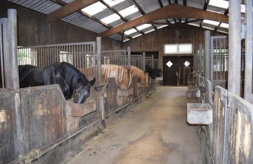 Garbers-Hof - Foto 13