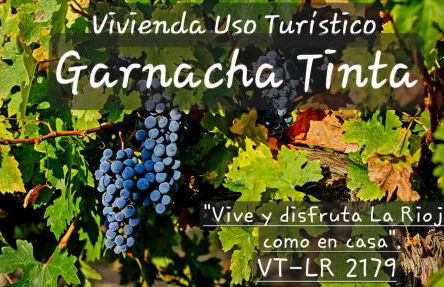 Garnacha Tinta VT-LR-2179 - Photo 41
