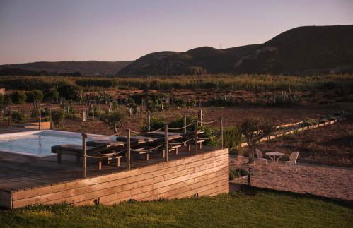 Hortas do Rio - Casa de Campo - Foto 4