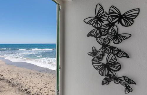 Buganvilla - Photo 17