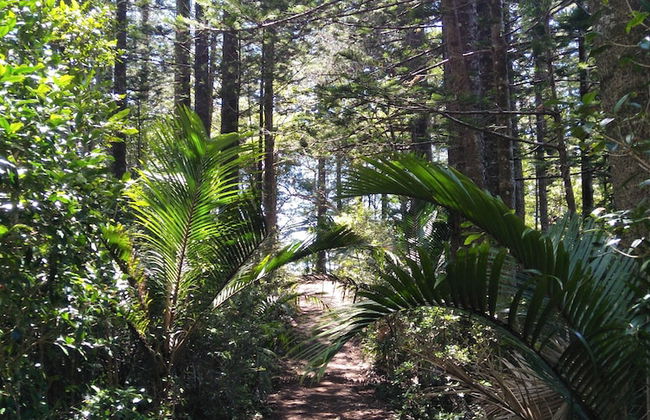 Hideaway Retreat - Foto 35