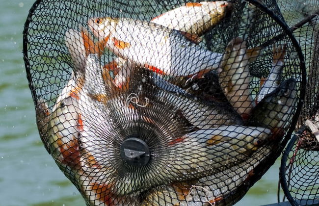 Agroturystyka u przyjaciol Soni - Foto 20