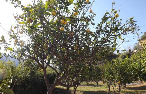 Villa Polirinia - Foto 19