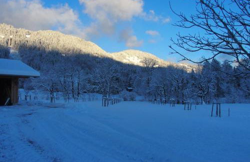Ferienwohnung Streuobstwiese - Foto 15
