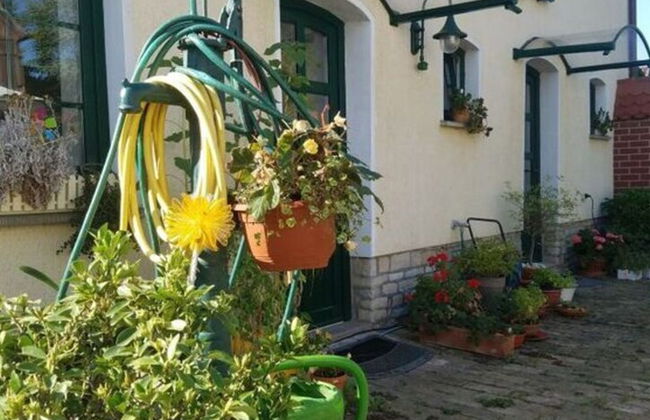 Zonnehof in het Geiseltal - Foto 42