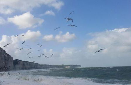 Aux Premières Loges - Foto 59