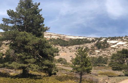 Molino Felix Alojamiento Rurales - Foto 77