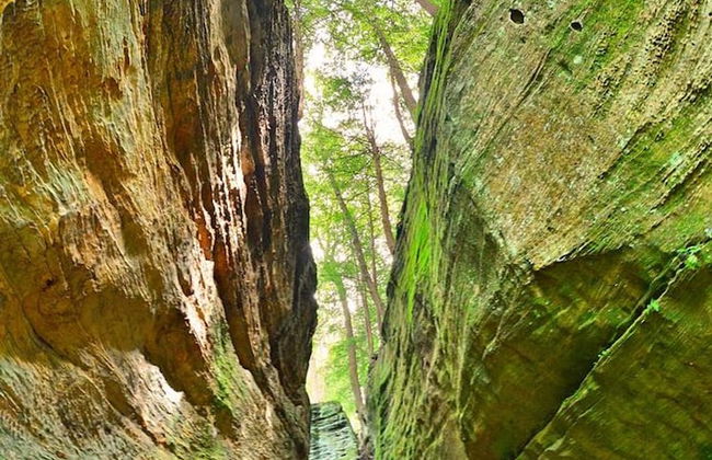 Lake View Hot Tub Modern A-frame - Foto 66