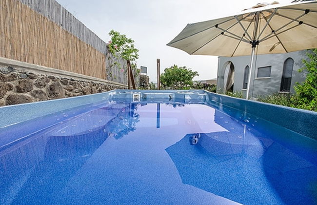 Black and White Holiday - Photo 1