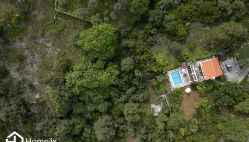 Villa VERA - private villa for 8 guests with pool - Foto 3