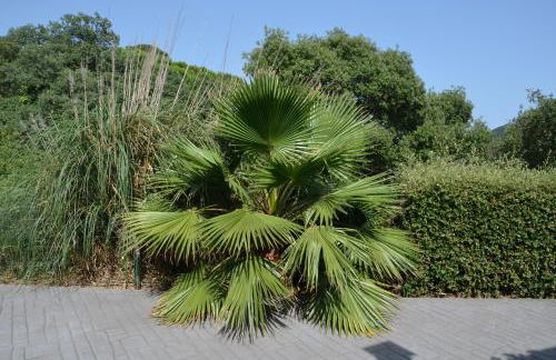 Sea view, Wonderful pool, Nature, Peaceful & AC - Foto 64