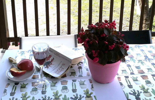 The Olive Garden House, on the North Coast of Corfu - Foto 45