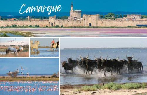 En Automne- Visitez la Provence- Villa 3 chambres-6 personnes- jardin & piscine - Foto 74