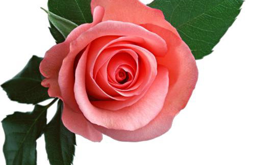 Roses RT apartments Skioni III - Foto 20