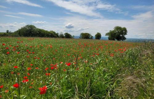 Clos du Bannet Family Escape - Foto 32