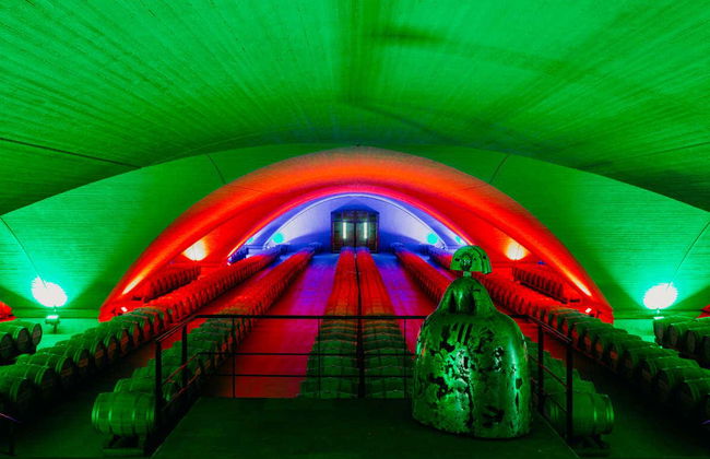 Visita alla cantina Otazu - Foto 7