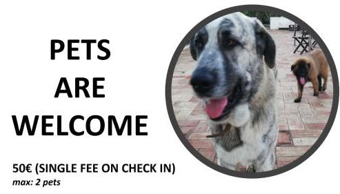 16 Casa Azul - Foto 2