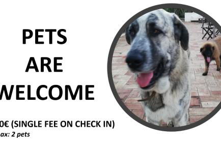 16 Casa Azul - Foto 2