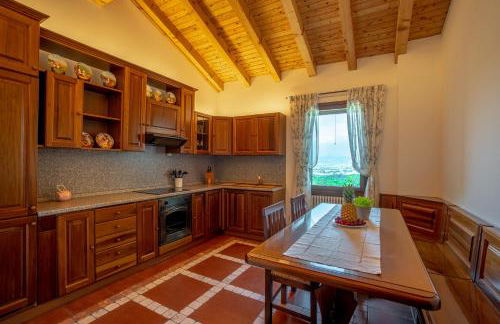 GATTO IN VIGNA - Foto 12