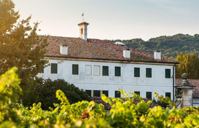 Vigneti Apartment With two Bedrooms and one Bathroom on the Second Floor Apartment 5 - Foto 33