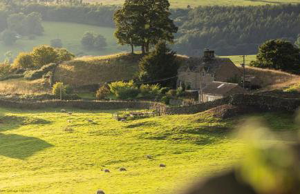 Dovecote House - Luxury Town House - Dog Friendly - Foto 48