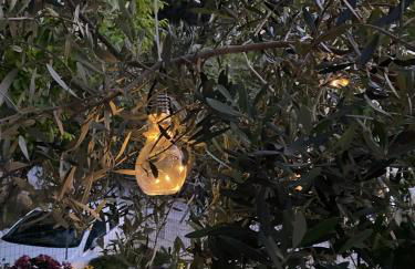 Sevastie's Home - downstairs - Foto 8