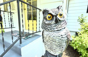 The Dorothy- Private Ravine Wooded Lot, with Game Room, Close to ALL! - Foto 17