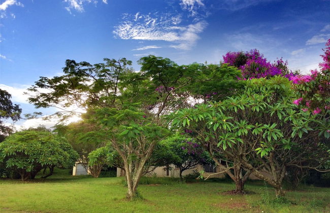 Near2Numbi - Foto 78