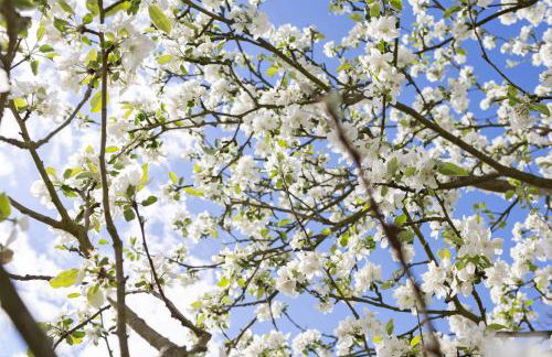Blockhütte - Foto 23