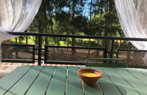 Cigüeñas - Foto 12