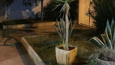 Villa Francesco & Chiara - Foto 5