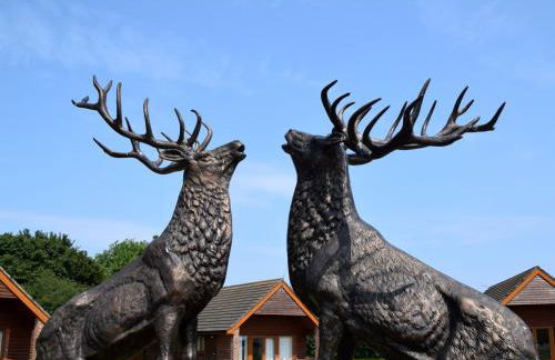 Elm 35 Hot Tub - Foto 13