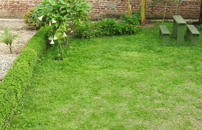 Green Village Apartments - Photo 17