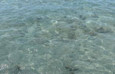 Casa Isabel - Foto 45