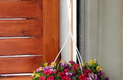 Elizas house - Foto 12