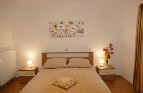 Apartment Depikolo *countryside holiday - Photo 11