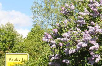 Altes Waschhaus Krakvitz - Foto 9