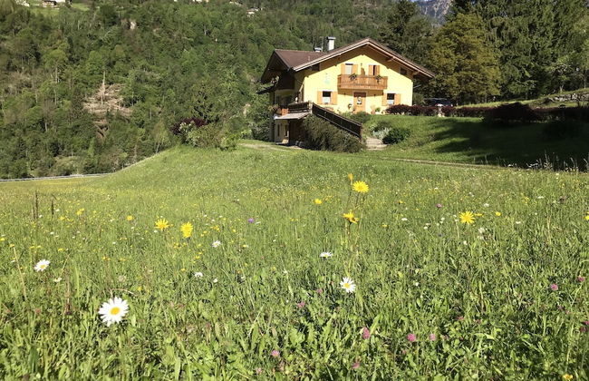 Eco-Baita Natura Spensierata - Foto 35