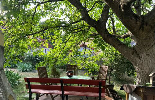 Ferien und Monteurswohnung am Schloss - Foto 2