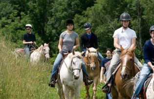 Roscoe Retreat - Foto 79