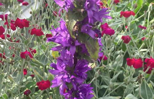 Ferienhaus am Teutoburger Wald - Foto 10