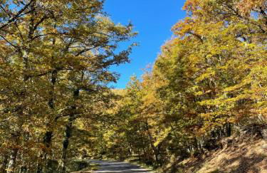 Dimora Medievale Lucolena - Foto 35