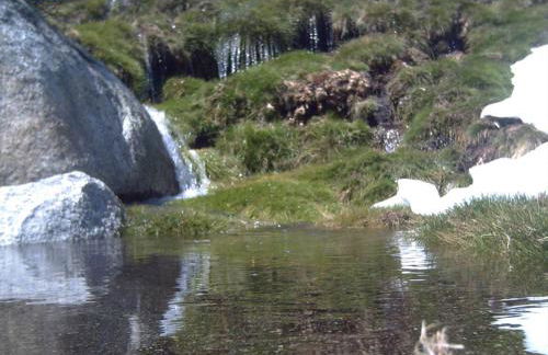 El Roble, casitas rurales - Foto 39