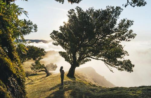 Ocean Breeze - Foto 36