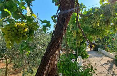 Villa Mele - Foto 71