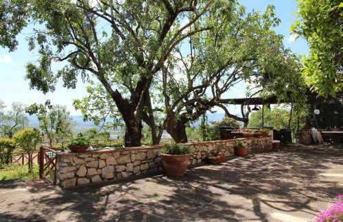 Villa Laura - Foto 19