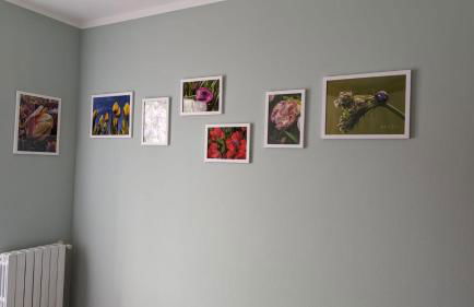 Photo House Collodi La Villetta - Foto 13