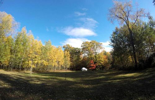 Secluded Lake Cottage Rental with a Dock and a Game Room in Hale, Michigan - Foto 12