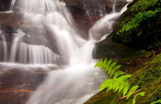 ShortLong Stays Welcome! Hot tub, Dog Friendly! - Foto 38